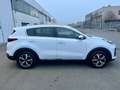 Kia Sportage 1.6crdi Autocarro 5 Posti Condizioni Ottime - thumbnail 4