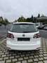 Volkswagen Golf Plus 1.4 Alb - thumbnail 6