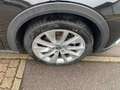Skoda Octavia Combi Scout 2.0 TSI DSG 4x4 AHK Standhei Schwarz - thumbnail 10