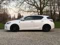 Lexus CT 200h F-Sport, Cruise, Camera, APK 3/2027 Blanco - thumbnail 21