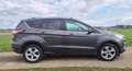 Ford Kuga 1,5 TDCi Titanium Start/Stop Powershift Aut. mit AHK, Leder,NAVI Grau - thumbnail 2