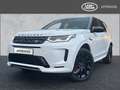 Land Rover Discovery Sport P200 R-Dynamic SE AHK 360 Kamera 20Zoll Black Weiß - thumbnail 1