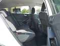Ford Focus Turnier Active X Matrix-LED iACC BLIS Wit - thumbnail 17
