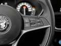 Alfa Romeo Stelvio 2.2 Turbodiesel 160 CV AT8 RWD Business Gris - thumbnail 9