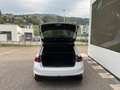 Skoda Fabia Monte Carlo TSI Bianco - thumbnail 6