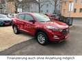 Hyundai TUCSON blue Passion 2WD Navi & Rückfahrkamera Rot - thumbnail 8