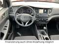 Hyundai TUCSON blue Passion 2WD Navi & Rückfahrkamera Rot - thumbnail 15