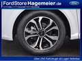 Ford Puma 1.0 EcoBoost Hybrid ST-LINE/ LED-Scheinwerfer / Wi Weiß - thumbnail 14