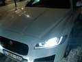 Jaguar XF 20d Aut. Prestige Wit - thumbnail 13