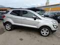 Ford EcoSport 1,0 EcoBoost Trend Grau - thumbnail 3