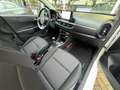 Kia Picanto 1.0 DPi Dynamic PlusLine Clima/Nav/Carplay/Camera/ Wit - thumbnail 11