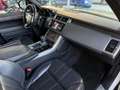 Land Rover Range Rover Sport 3.0 sdV6 Autobiography Dynamic 292cv auto Nero - thumbnail 14