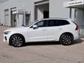 Volvo XC60 2.0 B4 (d) automatico Core Weiß - thumbnail 2