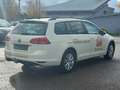 Volkswagen Golf VII Variant-2.0TDI-DSG-Navi-Xenon-AHK-Leder Weiß - thumbnail 10
