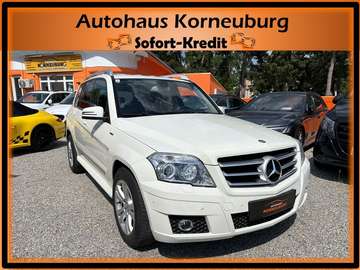 CDI Blue Efficiency 4Matic *PDC*Tempomat*SzHg*