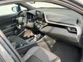 Toyota C-HR C-HR  1.8h Business e-cvt PREZZO REALE Grigio - thumbnail 13
