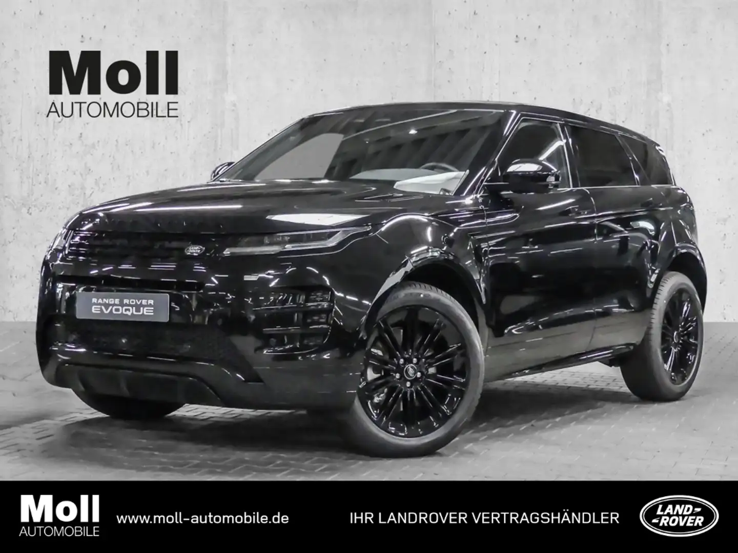 Land Rover Range Rover Evoque Dynamic SE D200 AHK-el. klappb. El. Panodach Zwart - 1