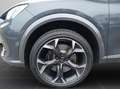 CUPRA Formentor VZ 2.0 TSI DSG 4Drive Navi BeatsAudio Grau - thumbnail 8