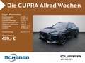 CUPRA Formentor VZ 2.0 TSI DSG 4Drive Navi BeatsAudio Grau - thumbnail 1