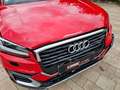 Audi Q2 design ultra Rot - thumbnail 9
