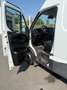 Iveco Daily Daily Turbo 40-12 C 3310" Weiß - thumbnail 4