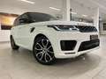 Land Rover Range Rover Sport 3.0 SDV6 HSE DYNAMIC 306 cv / 7 POSTI! Bianco - thumbnail 3