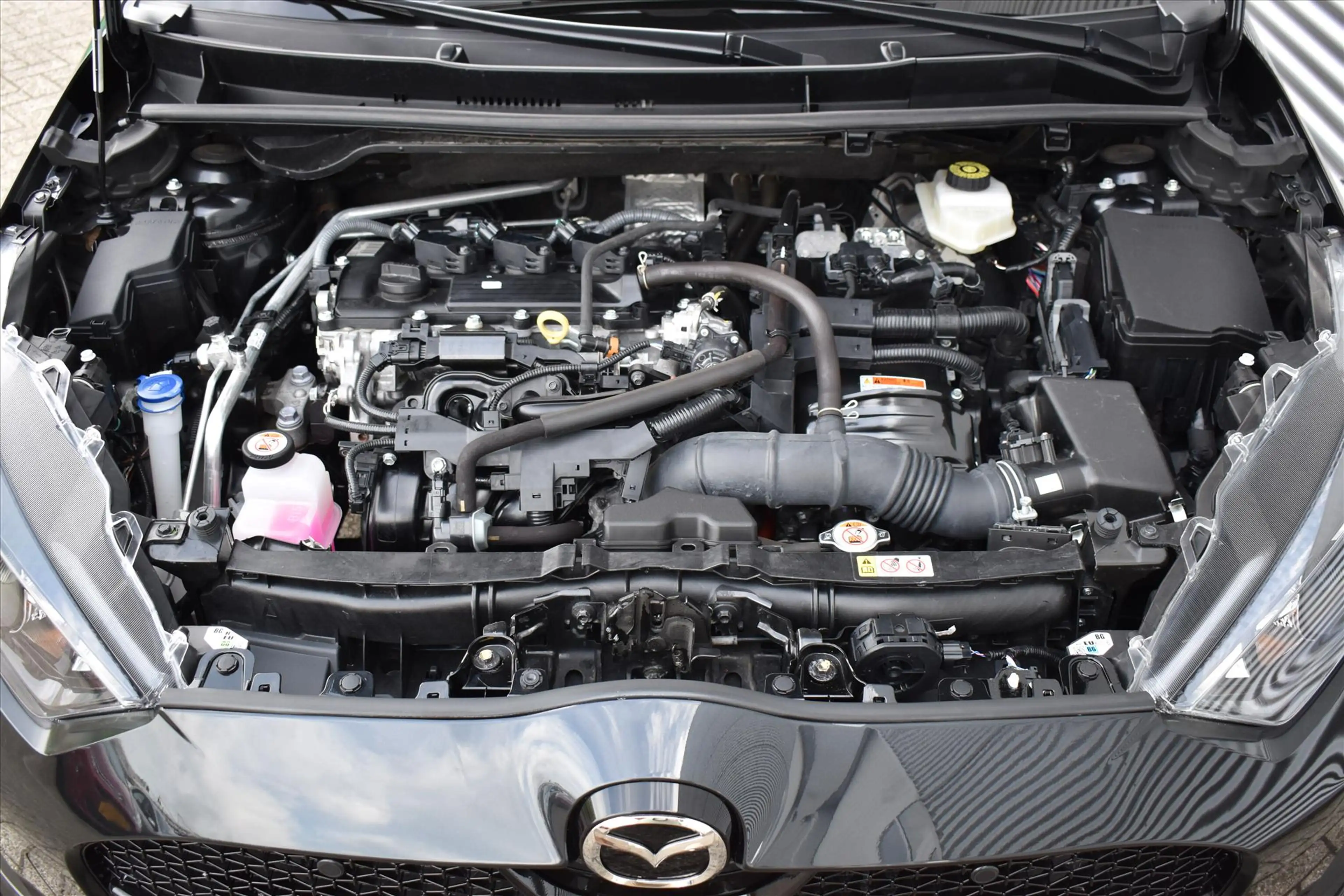 Mazda 2 Hybrid 1.5 Exclusive Line AUTOMAAT | Stoel & stuur — photo 28