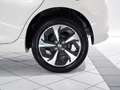 Suzuki Swift falsh ALLGRIP Weiß - thumbnail 9