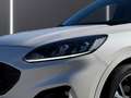 Ford Kuga 1,5 EcoBlue ST-Line Aut. / 1. Hand / monatlich ... Weiß - thumbnail 9