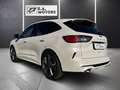 Ford Kuga 1,5 EcoBlue ST-Line Aut. / 1. Hand / monatlich ... Weiß - thumbnail 7