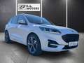 Ford Kuga 1,5 EcoBlue ST-Line Aut. / 1. Hand / monatlich ... Weiß - thumbnail 3