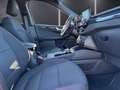 Ford Kuga 1,5 EcoBlue ST-Line Aut. / 1. Hand / monatlich ... Weiß - thumbnail 14