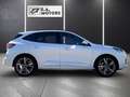 Ford Kuga 1,5 EcoBlue ST-Line Aut. / 1. Hand / monatlich ... Weiß - thumbnail 4