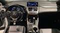 Lexus NX 300 300h F Sport Panorámico 4WD bijela - thumbnail 7