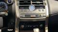 Lexus NX 300 300h F Sport Panorámico 4WD Blanco - thumbnail 29