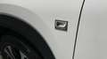 Lexus NX 300 300h F Sport Panorámico 4WD Blanco - thumbnail 35
