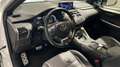 Lexus NX 300 300h F Sport Panorámico 4WD Білий - thumbnail 5