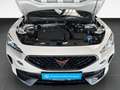 CUPRA Formentor 1.5 TSI DSG /AHK/Navi/Klima Weiß - thumbnail 18