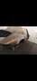 Porsche 930 911 3.0 Carrera Targa "RESTAURIERT"inkl. Motor Braun - thumbnail 15