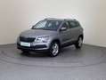 Skoda Karoq Style Limited TSI Grau - thumbnail 1