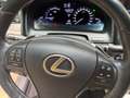 Lexus LS 600 LS 600h F Sport 4WD Automatik,Mark Levinson,Leder, Hybrid Grau - thumbnail 3