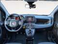Fiat Panda Panda 1.0 FireFly S&S Hybrid City Cross Vert - thumbnail 11