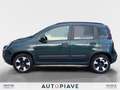 Fiat Panda Panda 1.0 FireFly S&S Hybrid City Cross Vert - thumbnail 2