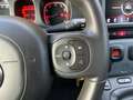 Fiat Panda Panda 1.0 FireFly S&S Hybrid City Cross Vert - thumbnail 23