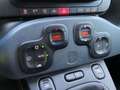 Fiat Panda Panda 1.0 FireFly S&S Hybrid City Cross Vert - thumbnail 20