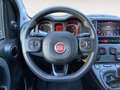 Fiat Panda Panda 1.0 FireFly S&S Hybrid City Cross Vert - thumbnail 12