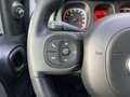 Fiat Panda Panda 1.0 FireFly S&S Hybrid City Cross Vert - thumbnail 22