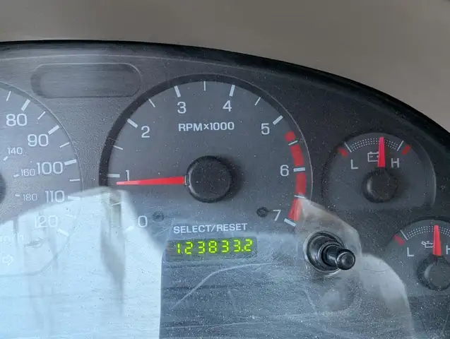 Ford Mustang 2002 — photo 2