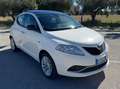 Lancia Ypsilon Ypsilon 1.3 mjt Platinum s Blanc - thumbnail 7