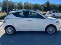Lancia Ypsilon Ypsilon 1.3 mjt Platinum s Blanc - thumbnail 6